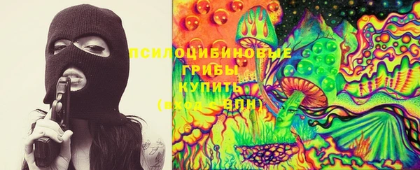 кокс Алексин