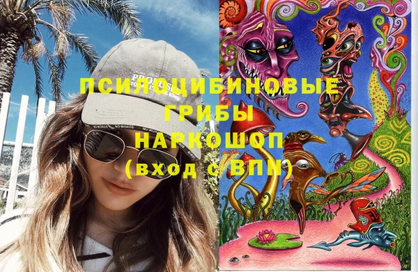 кокс Алексин