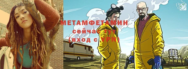 ПСИЛОЦИБИНОВЫЕ ГРИБЫ Заводоуковск