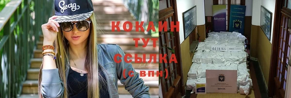 кокс Алексин