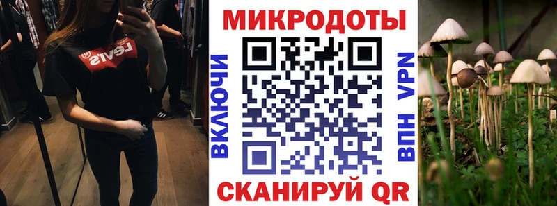Псилоцибиновые грибы Cubensis  купить наркотики цена  Сасово 